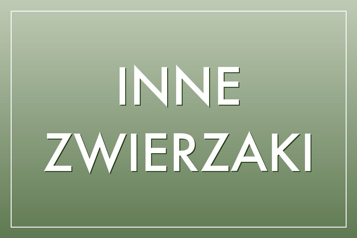 Inne zwierzaki